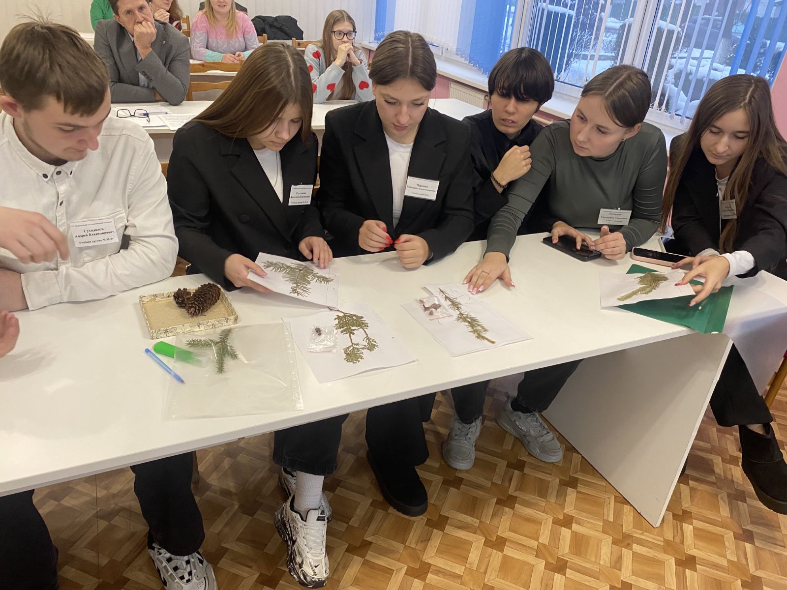 Открытый кураторский час